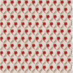 Flor Do Espírito Santo